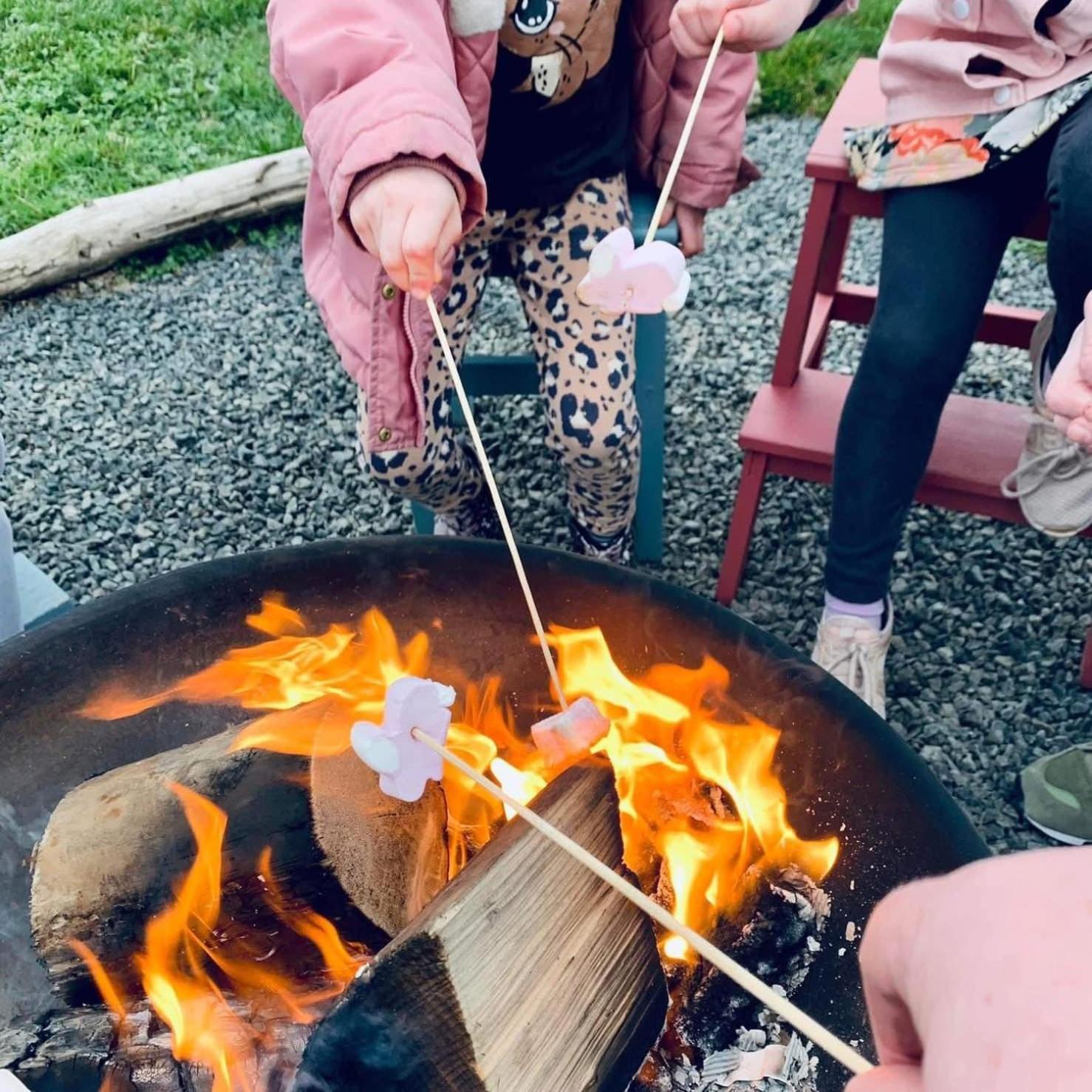 ホテル Carrowmena School House & Glamping リマバディ エクステリア 写真